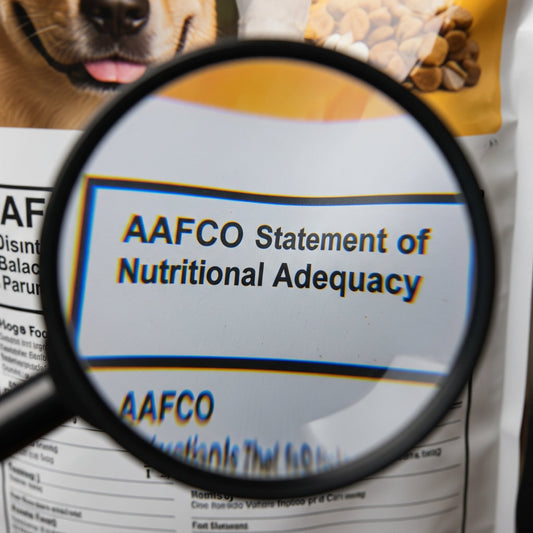 Understanding AAFCO Feeding Trials: What Do They Really Mean for Your Dog?