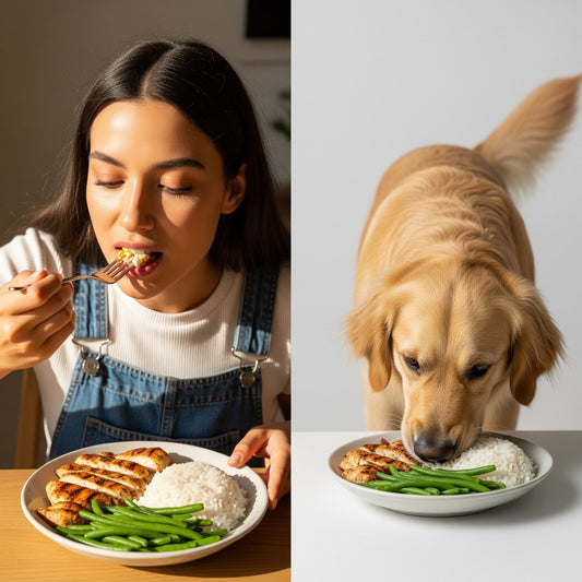"Doggie and Me" Recipes: A Dish You Can Share (Safely!)