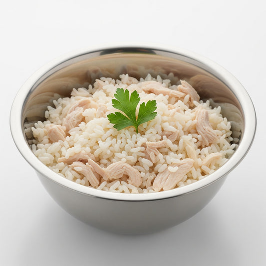 Diet for Dogs with Sensitive Stomachs: A Bland Diet and Beyond