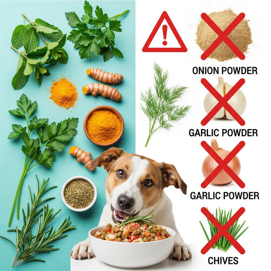 How to Safely Season Your Dog's Food (The Ultimate Guide)