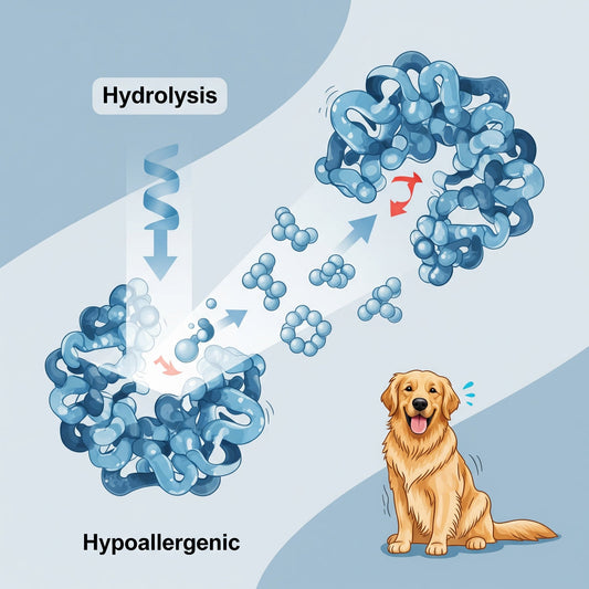 Hydrolyzed Protein Diets: What Are They and Who Are They For?
