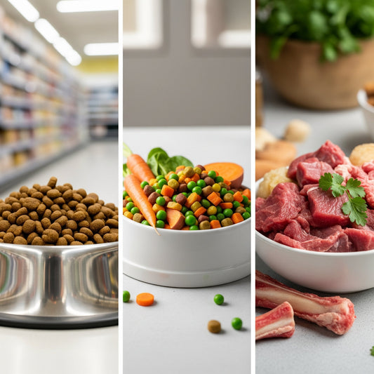 Kibble vs. Fresh Food vs. Raw: A Complete Breakdown for Dog Owners