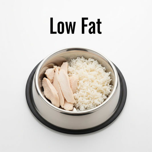 Weight Management for Dogs: Using Toppers to Add Flavor, Not Calories